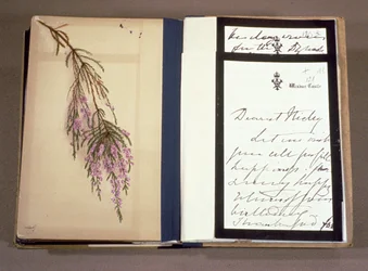 List królowej Wiktorii (1819-1901) do carewicza Mikołaja Aleksandrowicza (1868-1918) 22 kwietnia 1894